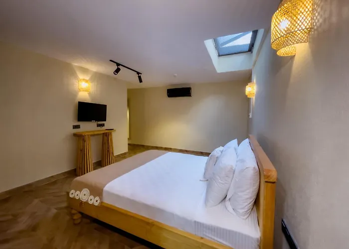 Trina Talles - Luxury Design Adult Only